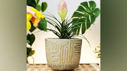همه چیز درباره گل زنگوله‌ای + فیلم