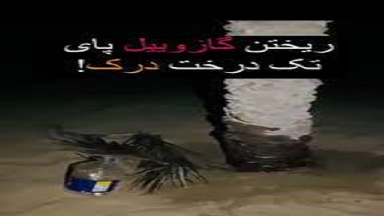 گازوییلی که پای توسعه گردشگری ریخته شد!