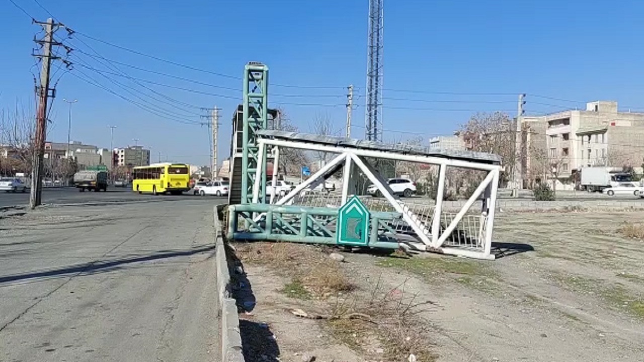 نابودی درختان ۵۰۰ ساله در جنگل شوراب/ جاده فراموش شده روستای موگویی در انتظار یک نگاه