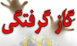 گاز مونوکسید کربن ۸۳ نفر را مسموم کرد