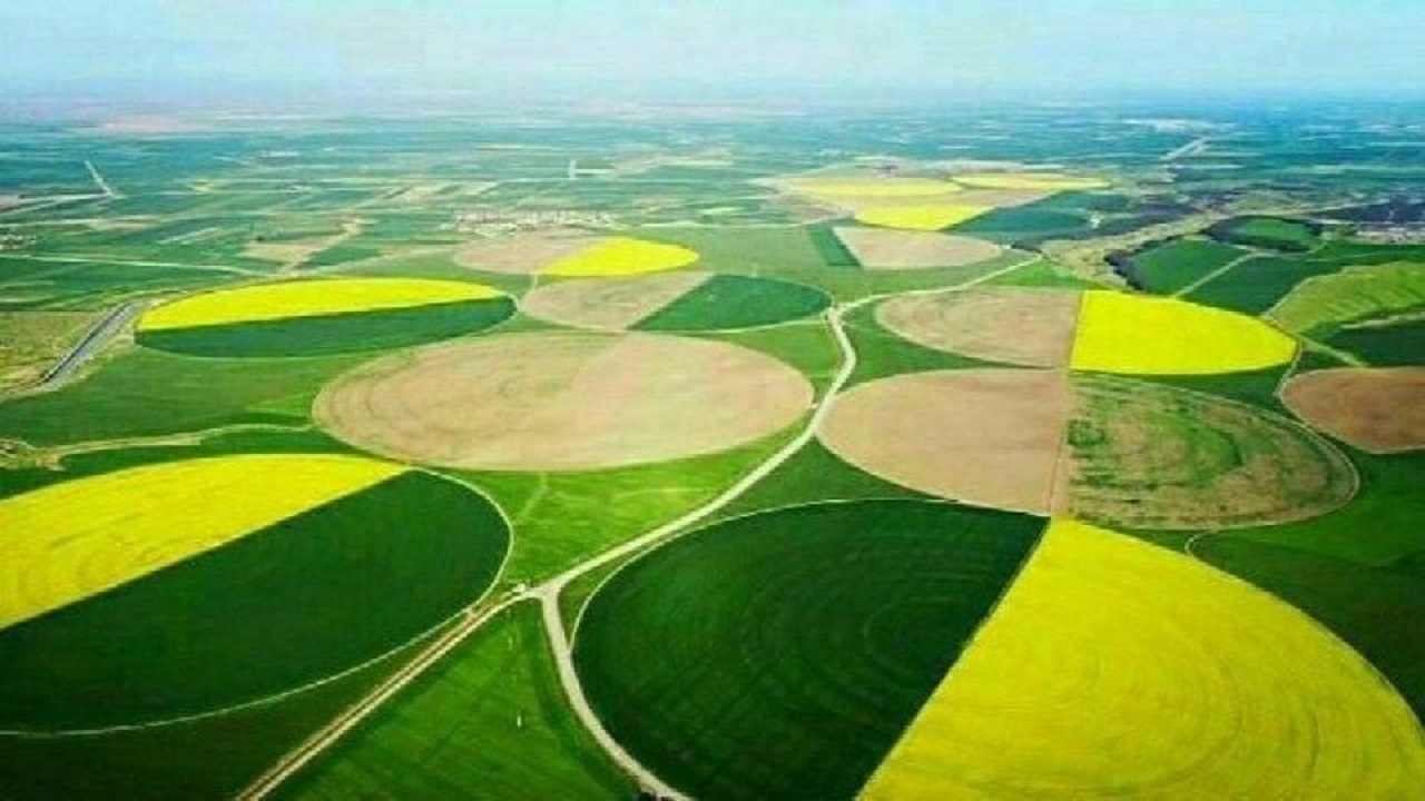 صیانت از "کشت و صنعت مغان" در استان اردبیل با جدیت دنبال می‌شود
