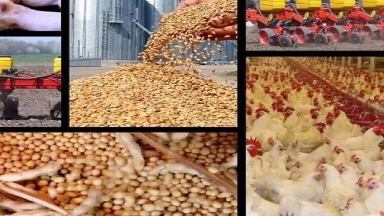موثرترین راهکار‌ها برای حذف ارز ترجیحی با کمترین تبعات