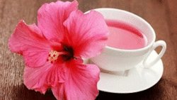کاشت و برداشت بادام‌ زمینی در ژاپن + فیلم