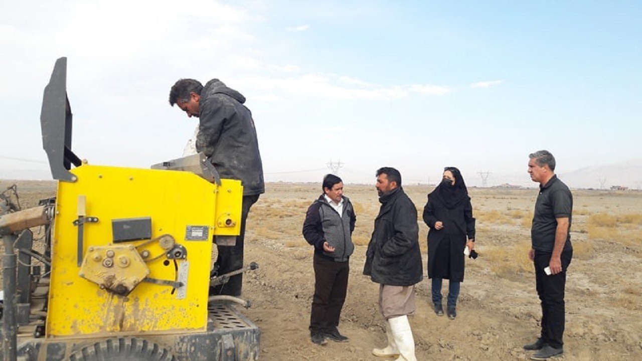 کشت دانه روغنی کاملینا برای اولین بار در نیشابور