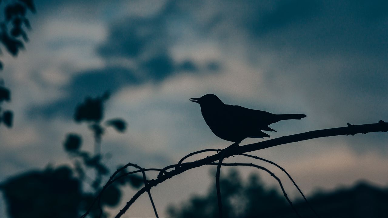 جذاب‌ترین تصاویر پس زمینه (۲۴ آذر)