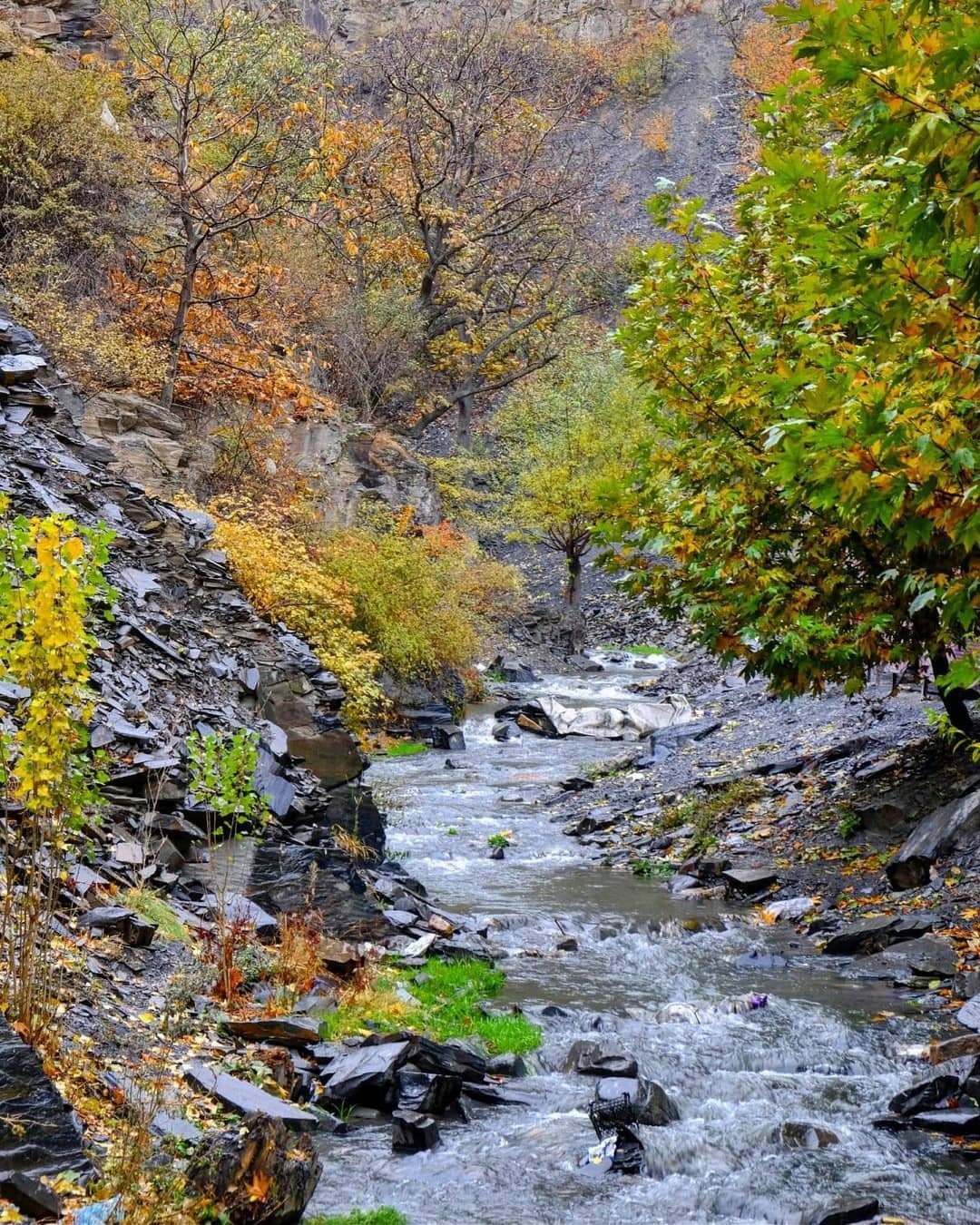 از