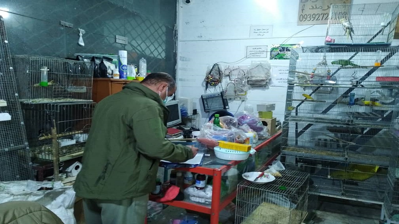 ۲ پرنده فروش متخلف در شهرستان البرز به دام قانون افتادند