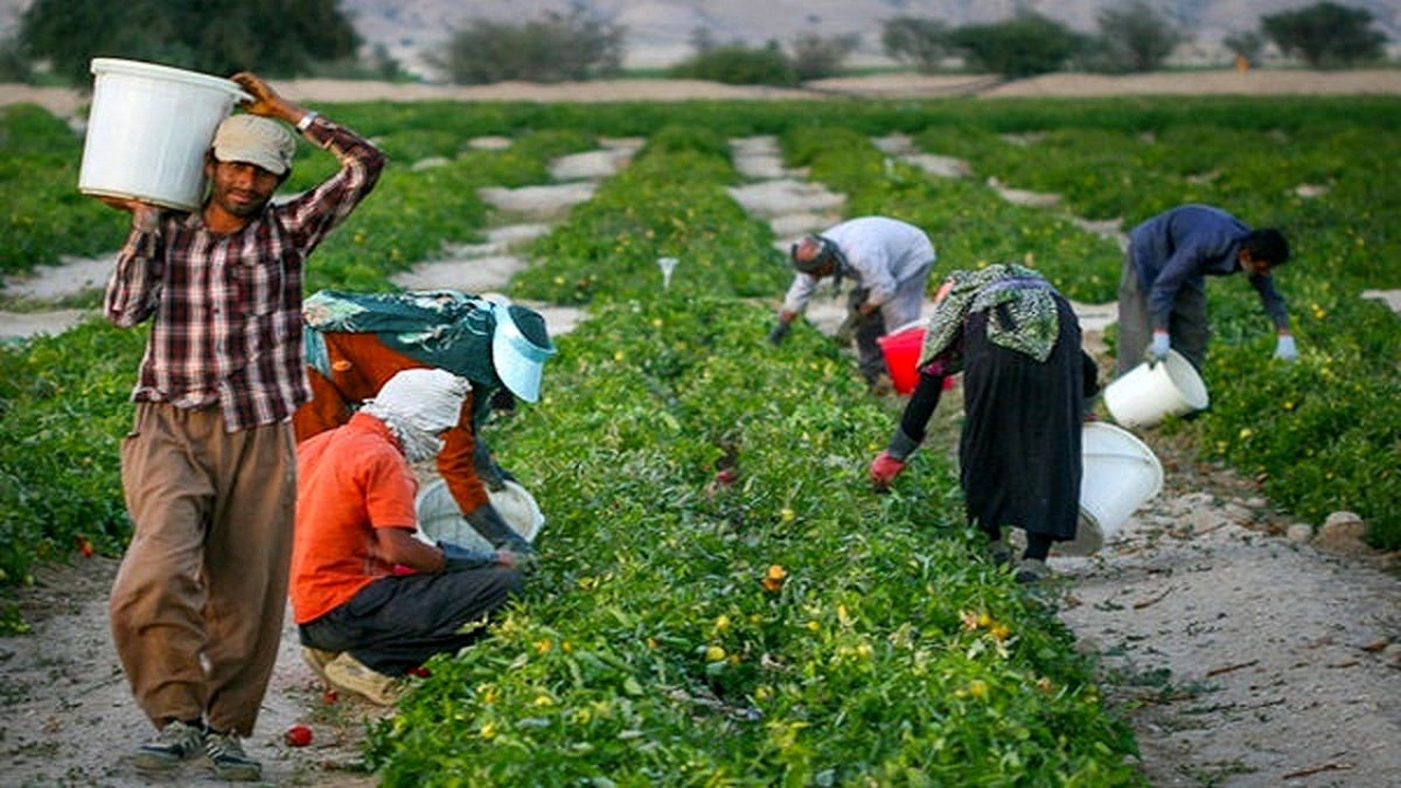 پرداخت تسهیلات اشتغال روستایی به متقاضیان