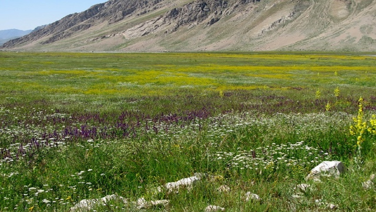 کشاورز اسدآبادی مرتع‌دار نمونه کشورشد