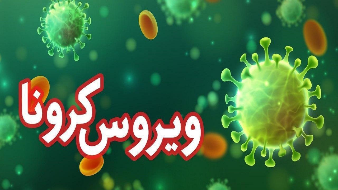 آمار روزانه فوتی کرونا در استان قزوین صفر شد