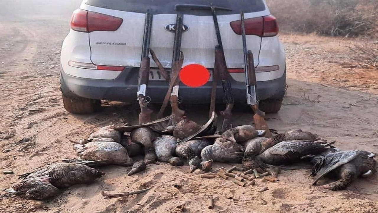 شکارچیان متخلف در پلدشت دستگیر شدند