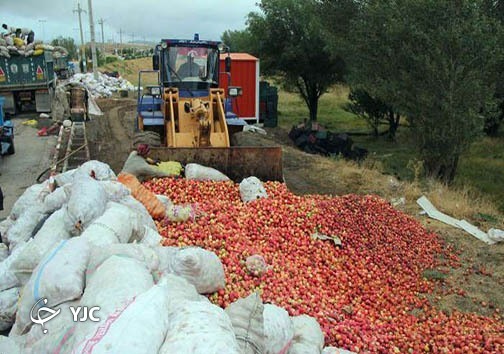 خرید تضمینی تعاون روستایی سبب ناکامی باغدار&zwnj;ها شد