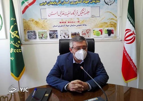دلایل روند کند صادرات سیب