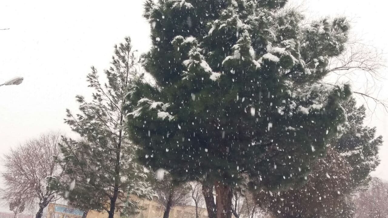خوشحالی مردم آذربایجان شرقی از بارش برف و باران خوشحالی مردم آذربایجان شرقی از بارش برف و باران