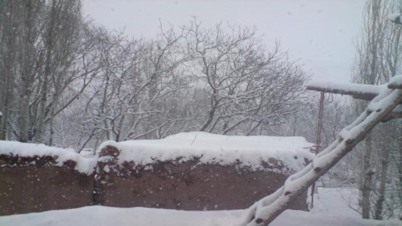 اینجا سیبری، روستای برفی کوسه است