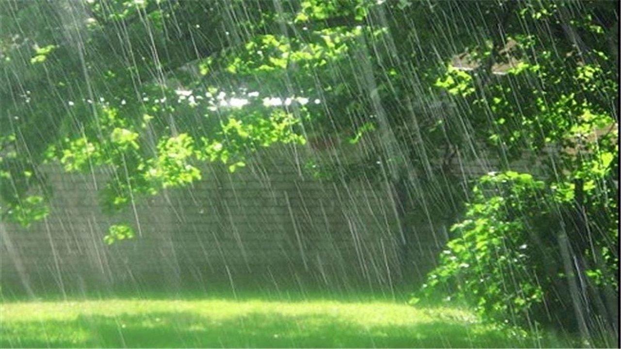 نمایی از بارش باران پاییزی در چهاربرج + فیلم