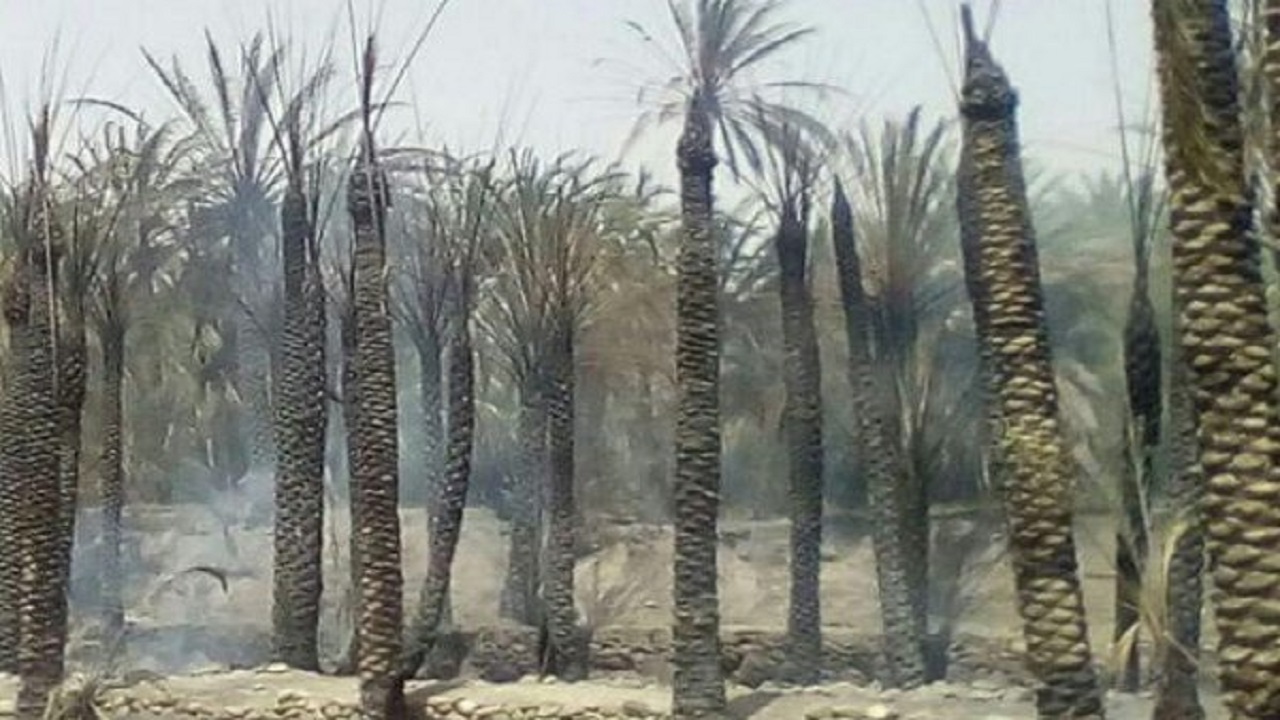 از