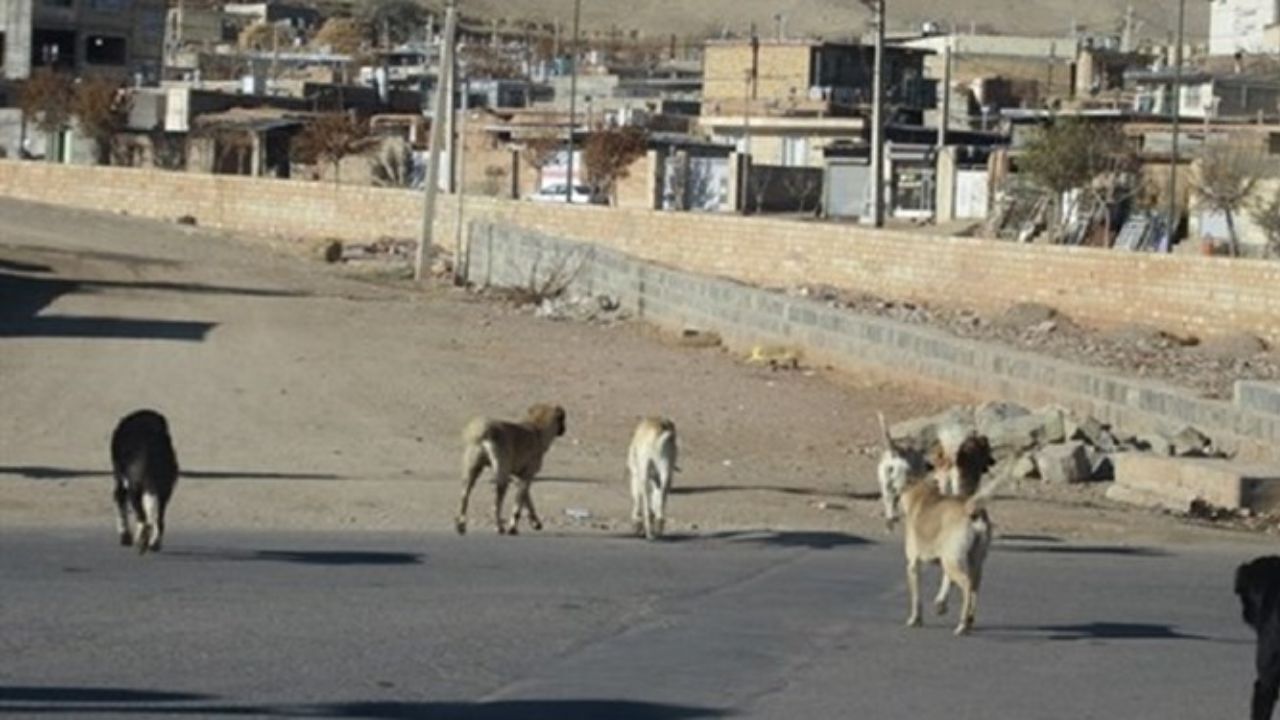 از