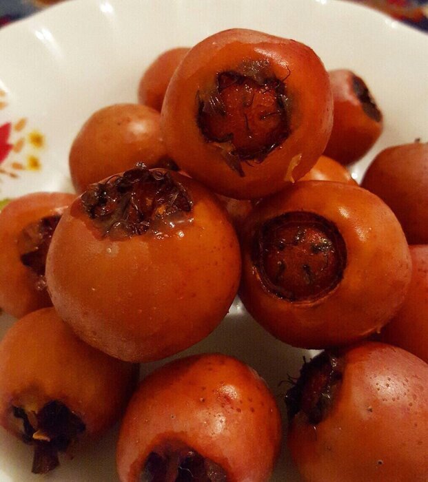 غذاهای مخصوص شب یلدا در استانهای کشور+طرز تهیه و عکس غذاهای مخصوص شب یلدا در استانهای کشور+طرز تهیه و عکس