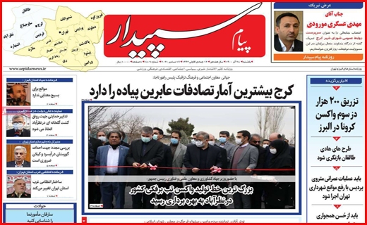 سپیدار