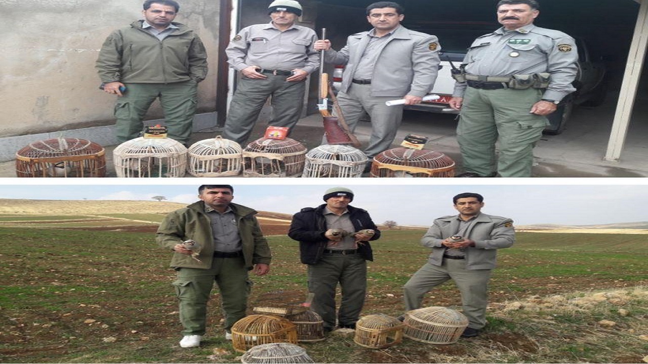 دستگیری شکارچی متخلف کبک در روانسر