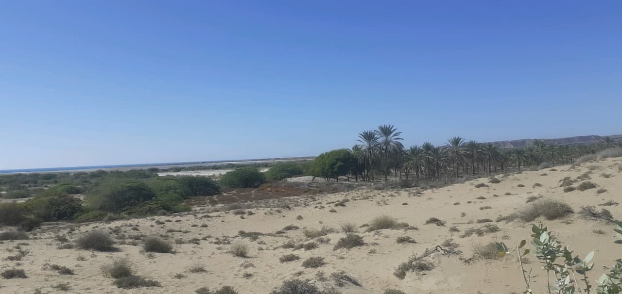 از
