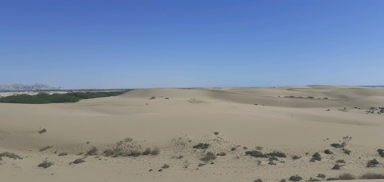 از
