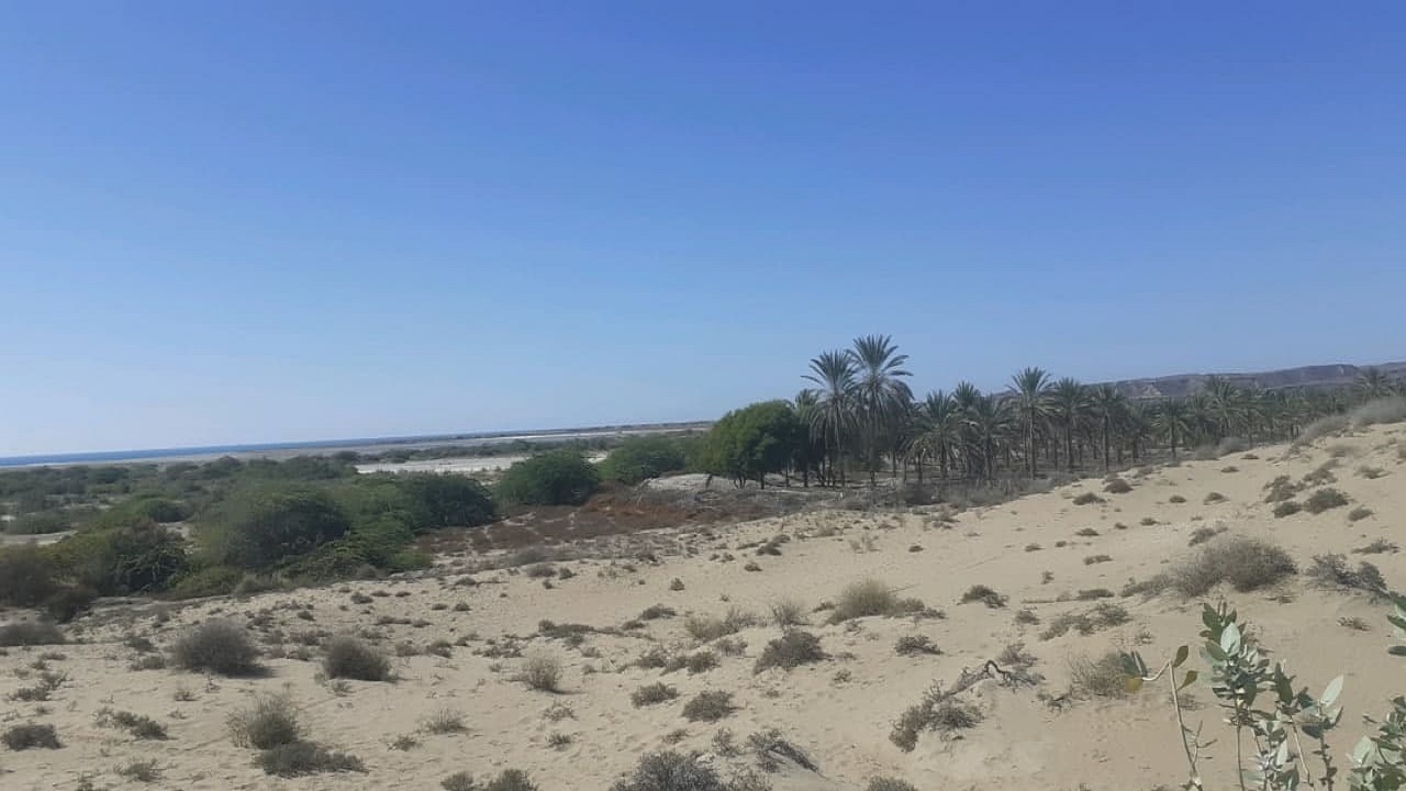 سفر به روستای هومدان پیشنهاد شهروند خبرنگار ما + فیلم و تصاویر