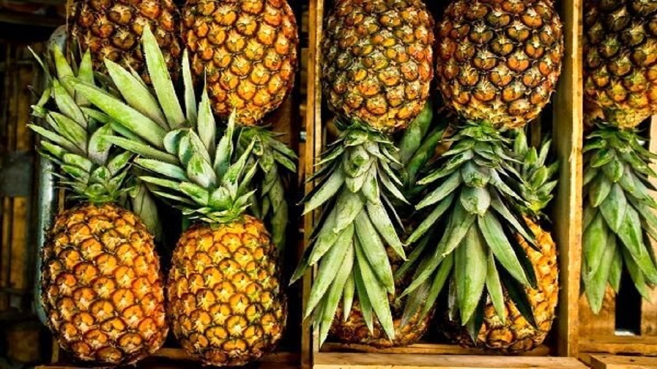 آناناس در اصفهان ۵۰۰ هزار تومان گران‌تر است