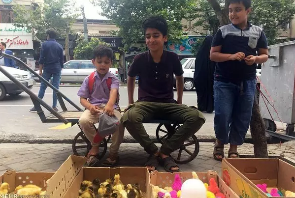 جمع آوری کودکان کار، از حرف تا واقعیت