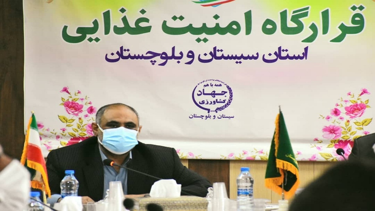 سیستان و بلوچستان نیازمند راه‌اندازی ۴۳۰ واحد جدید مرغداری است