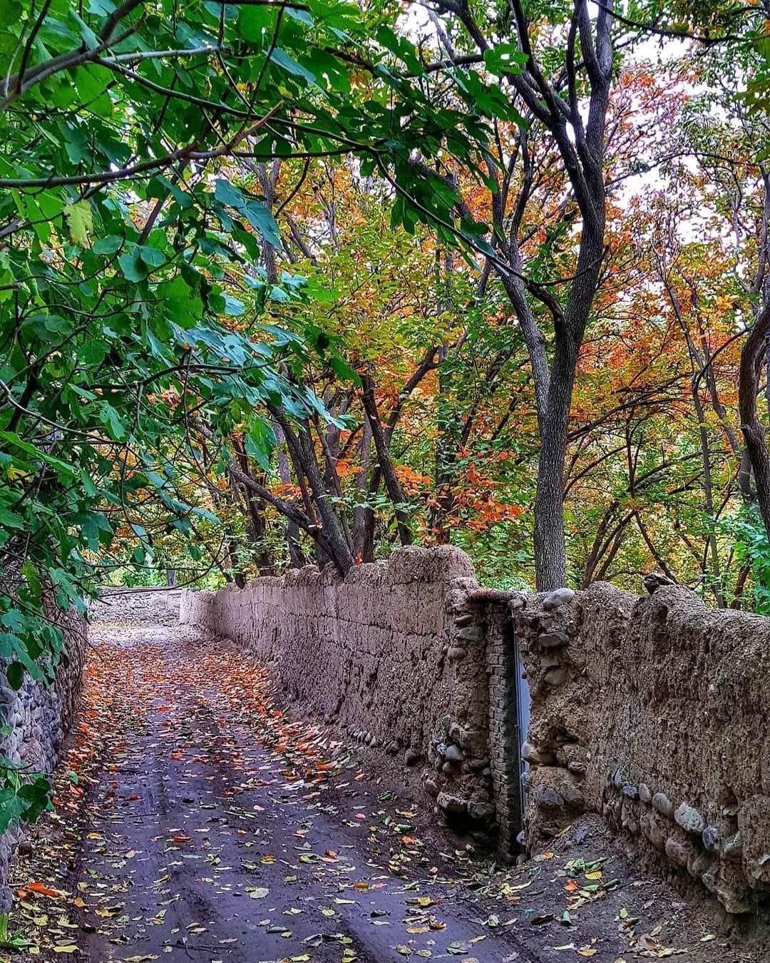 از