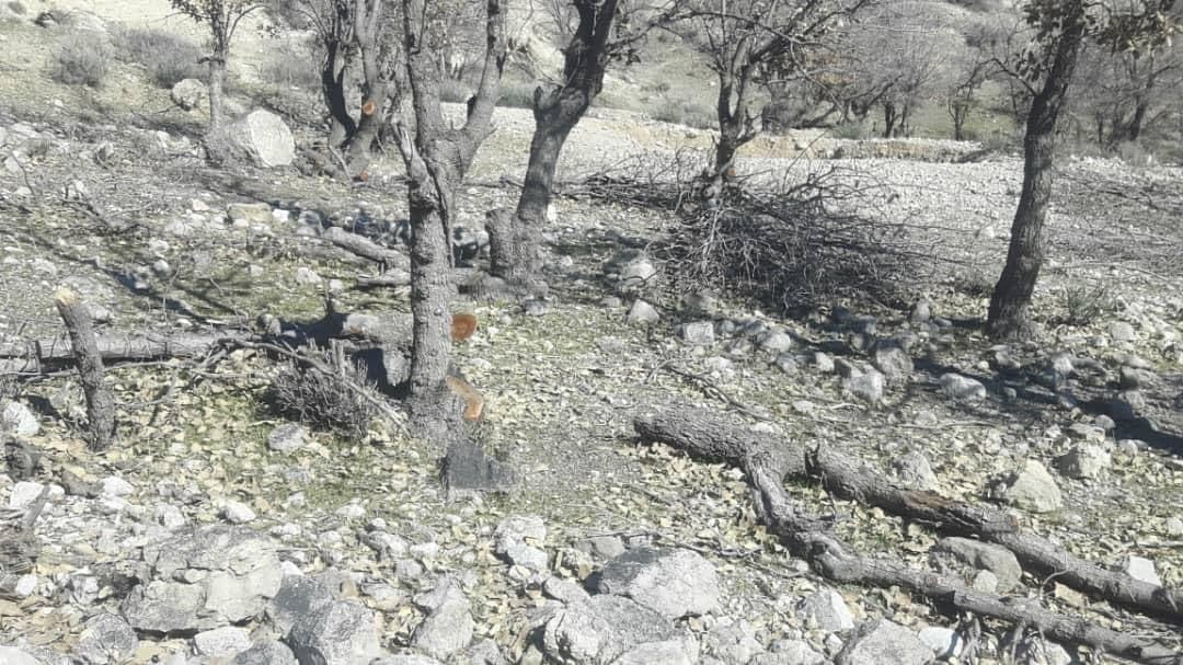 از