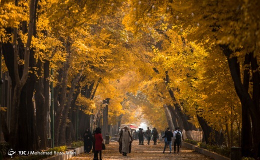 چهارباغ در پاییز