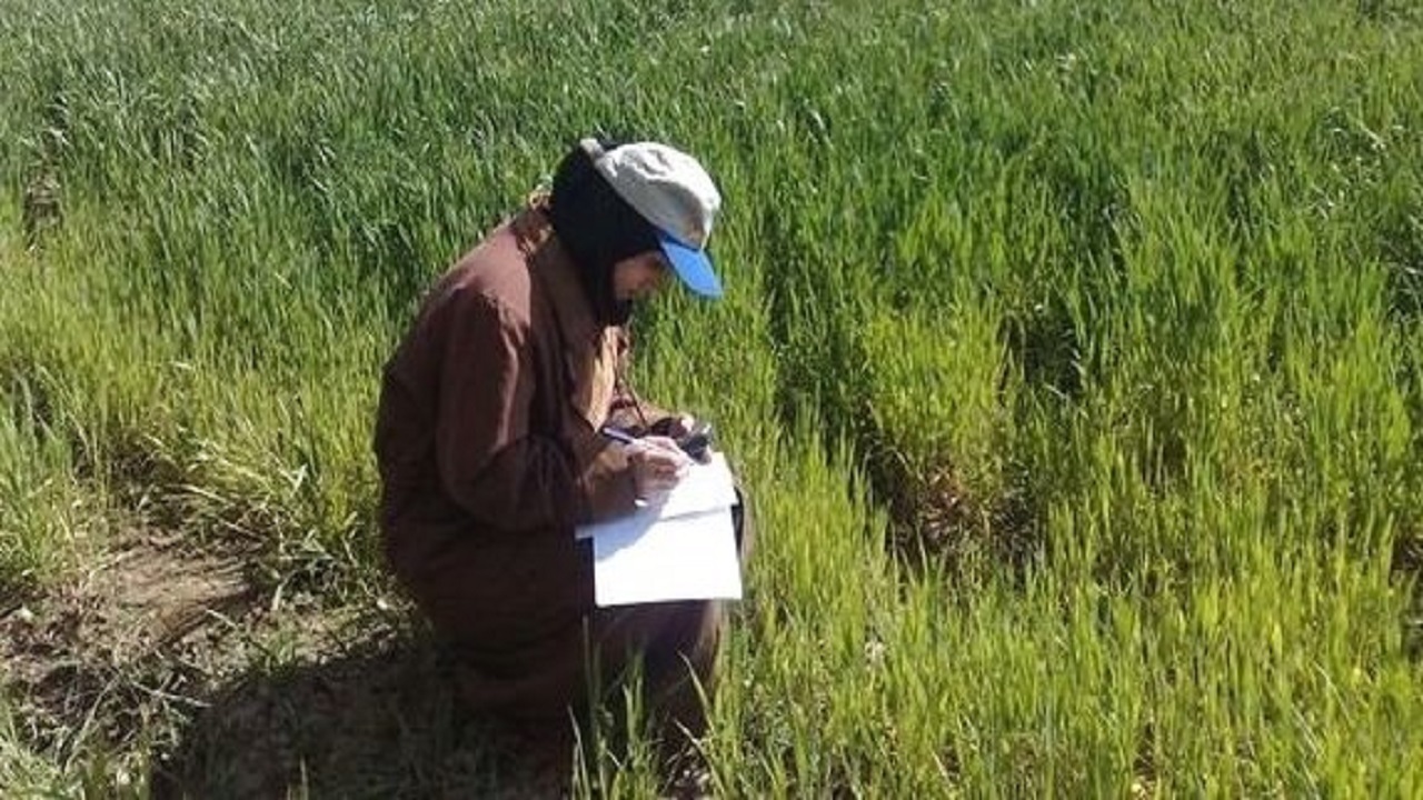 کاهش شاغلان بخش کشاورزی
