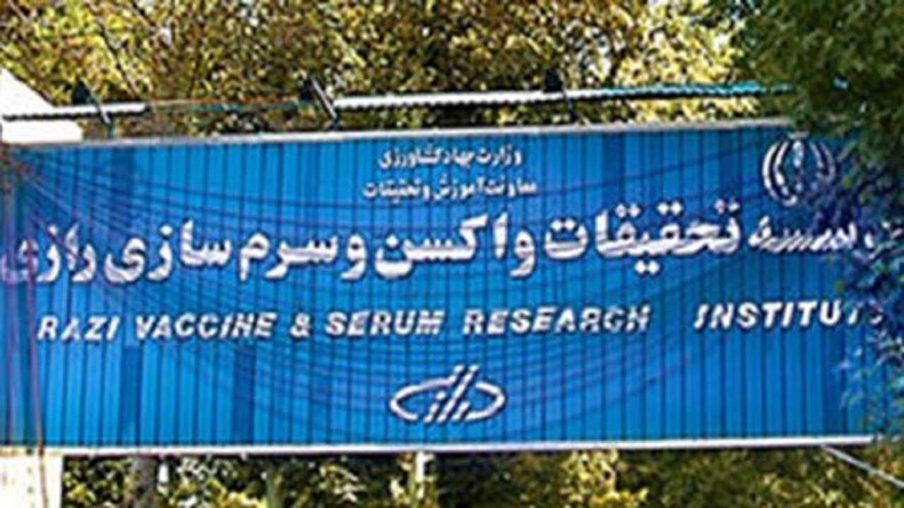 تولید ۴۰۰ میلیون دوز واکسن روغنی طیور در سرم‌سازی رازی مرند