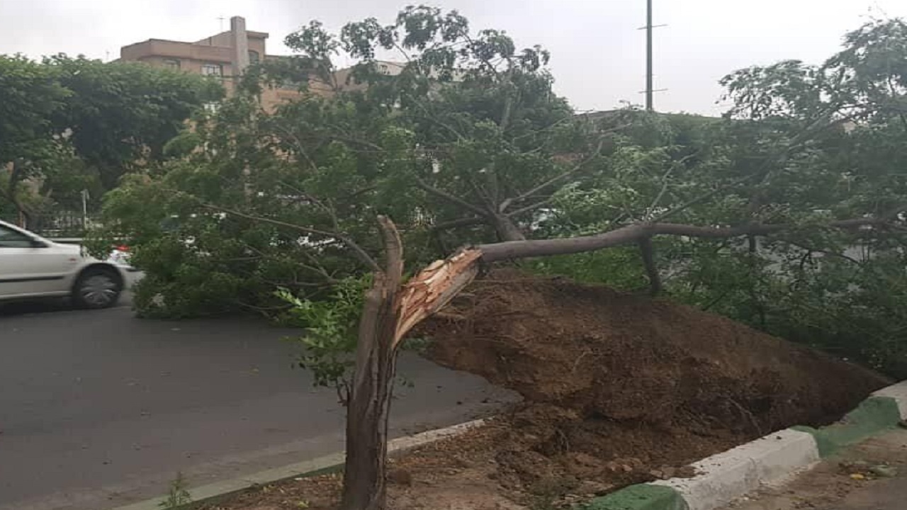توفان در کلات خسارت به بار آورد