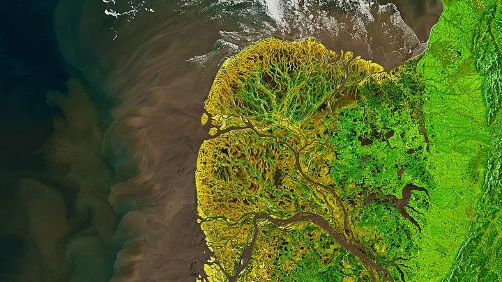 دلتای Yukon-Kuskokwim
