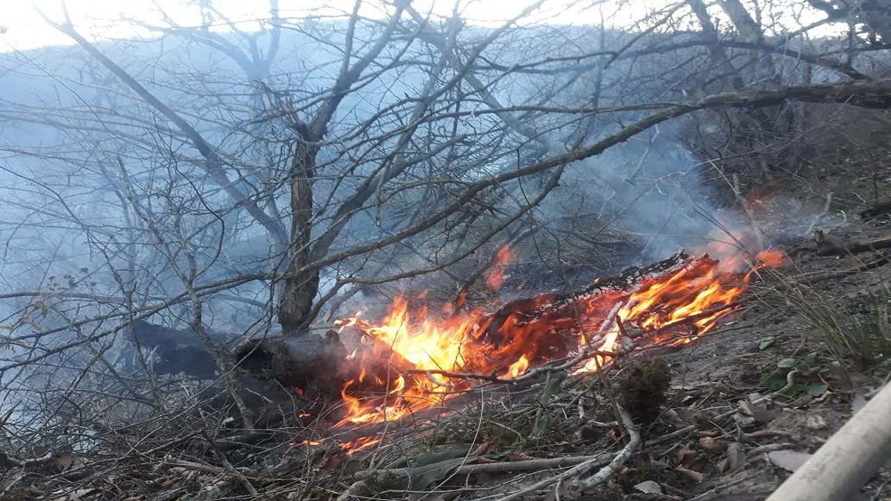 سوختن ۱۹ هکتار جنگل در مرکز مازندران
