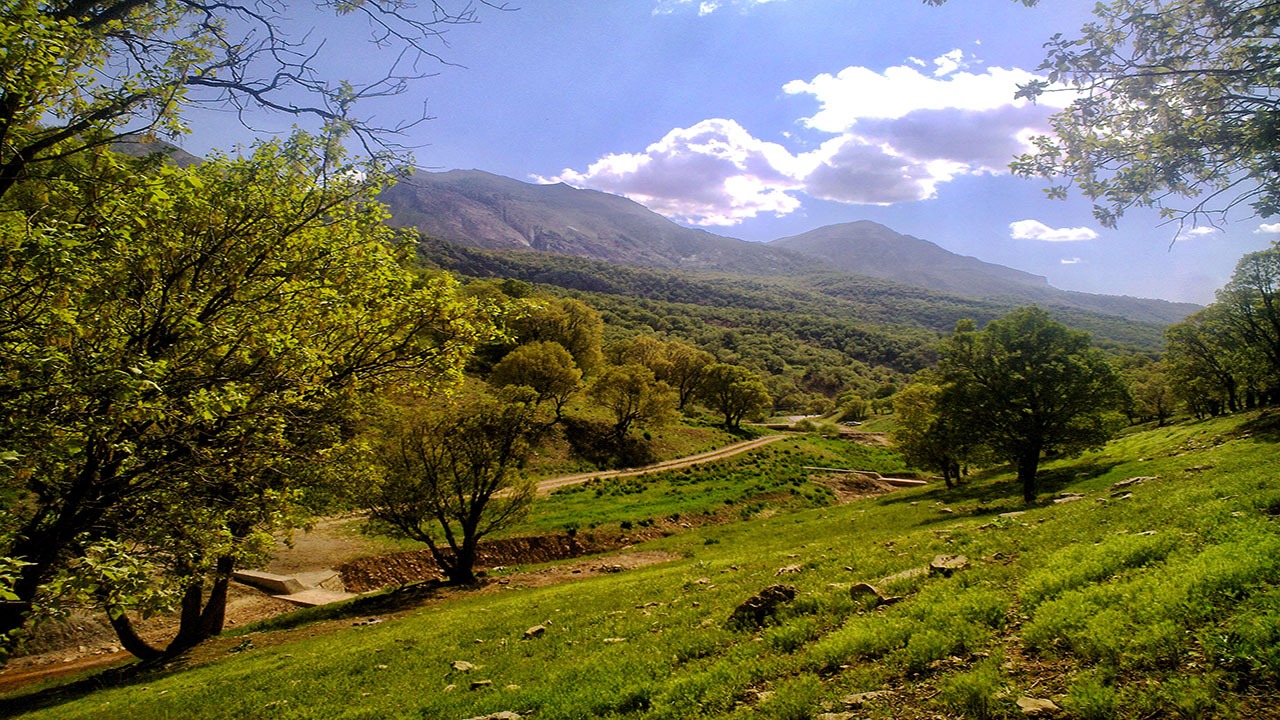 احیای ۳۰۰ هکتار از عرصه جنگلی خراسان شمالی