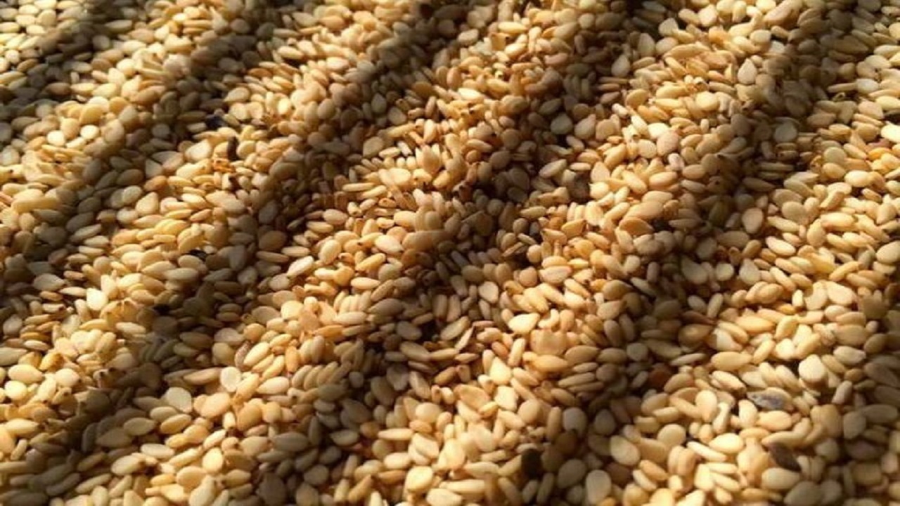 کنجد