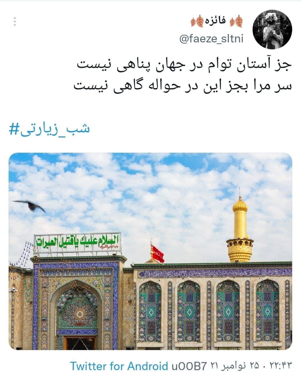 واکنش های کاربران با هشتگ شب زیارتی