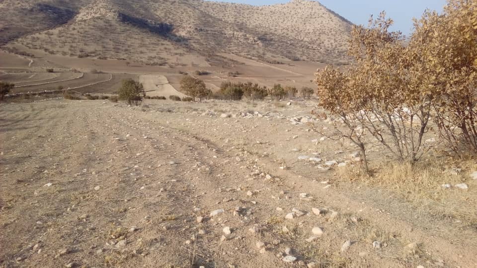 از