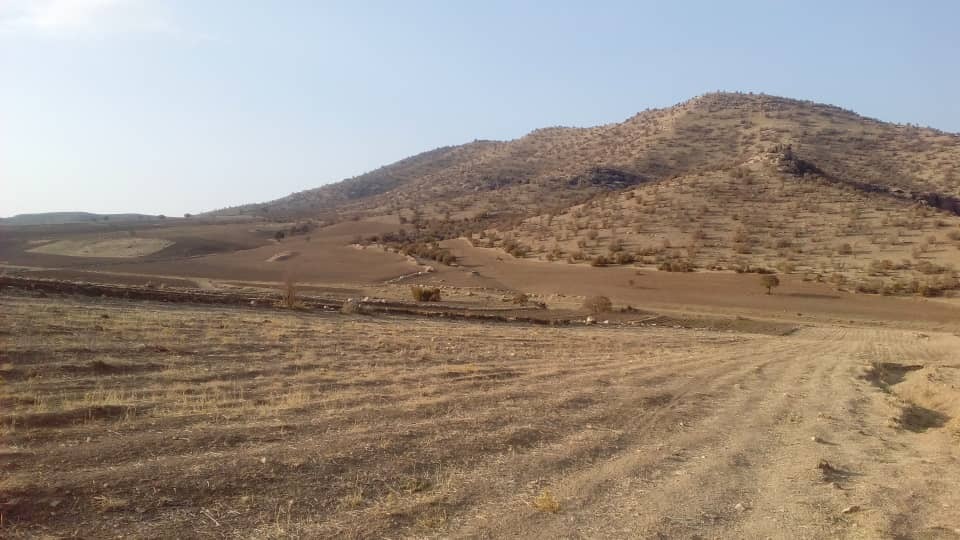 از