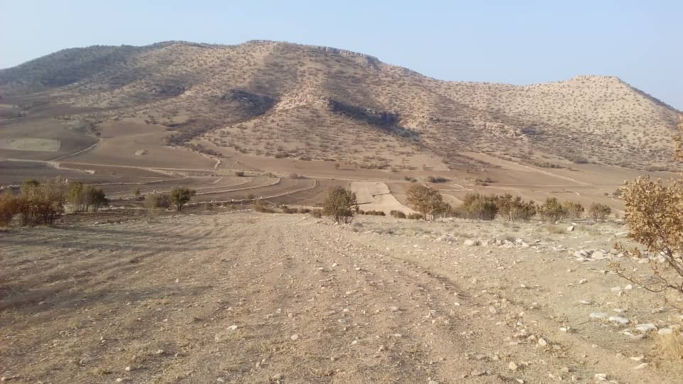 از