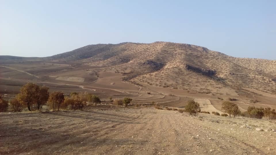 از