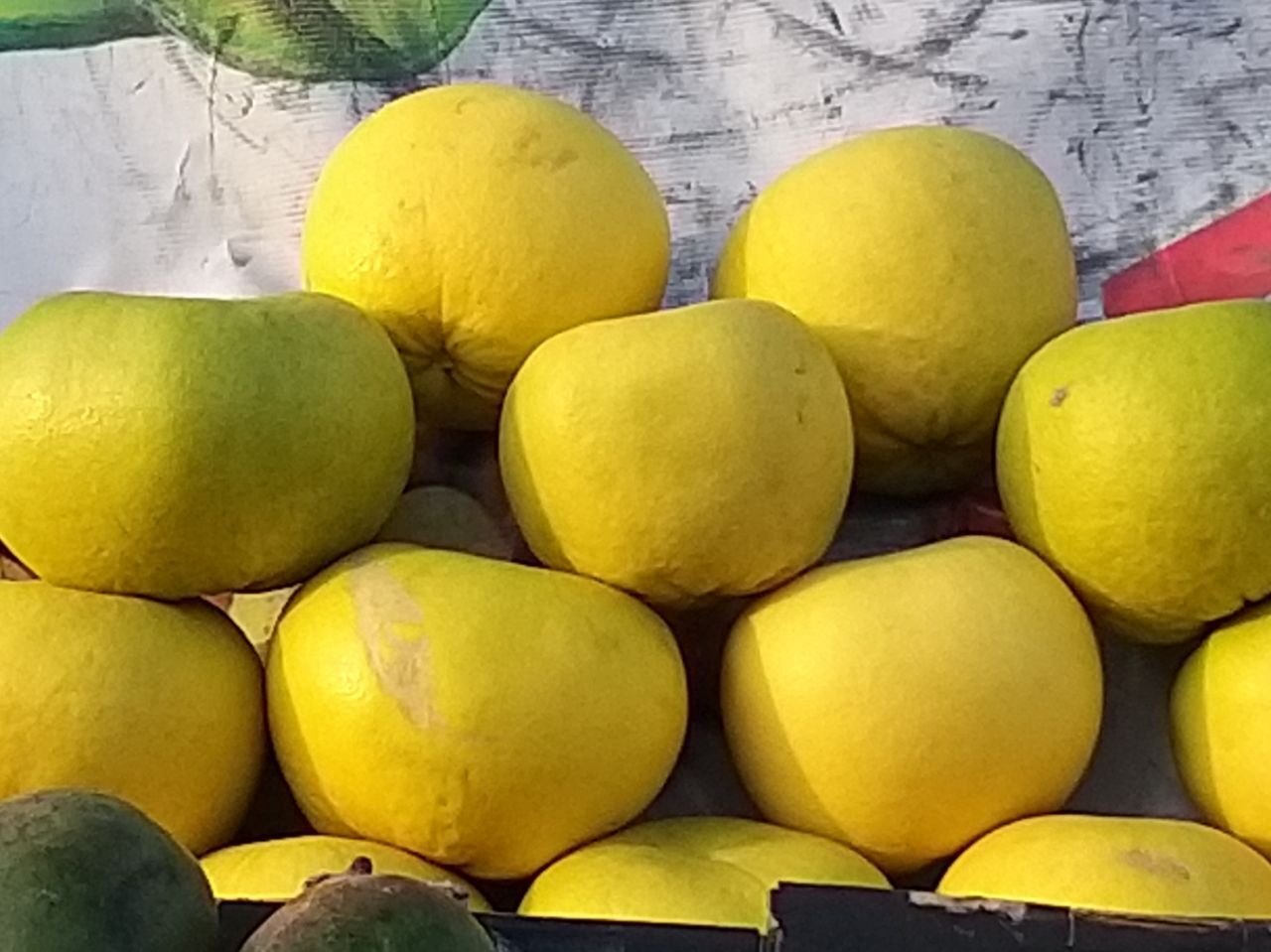 میوه&zwnj;های بومی و استوایی در بازار مشهد+ تصاویر