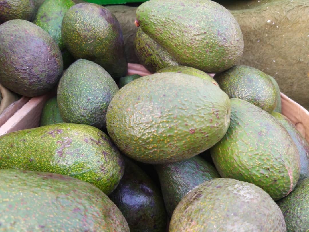 میوه&zwnj;های بومی و استوایی در بازار مشهد+ تصاویر