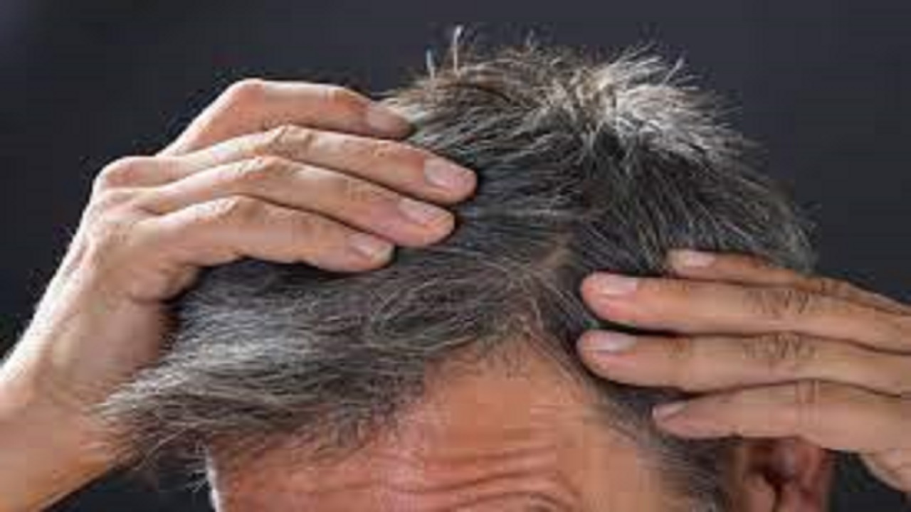 چند گام آسان برای کاهش سفیدی زودرس موی سر / دریافت کنندگان واکسن کرونا می&zwnj;توانند ناقل ویروس باشند؟ / آشنایی با خواص و مضرات لیمو