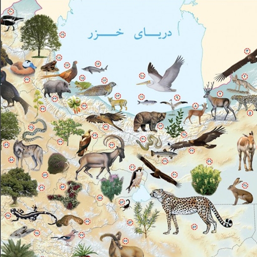 صدور پروانه شکار برای گردشگران خارجی با پرداخت تعرفه&zwnj;های دولتی / محیط زیست تهران به خرید و فروش حیوانات ورود کند / باغ وحش&zwnj;های بزرگ کشور واکسینه شدند